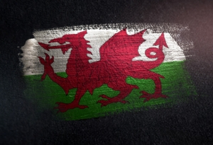 Support for Wales